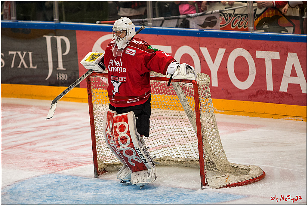 DEL, Koelner Haie - ERC Ingolstadt, 20.01.2017